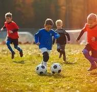 双色球神预,期凤尾绝杀,秘籍,天津体彩,天津体彩网,天津体彩网官网,体育彩票,体彩大乐透,竞彩足球,体彩公益