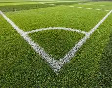 豆丁独家揭,双色球,期必中红球,天津体彩,天津体彩网,天津体彩网官网,体育彩票,体彩大乐透,竞彩足球,体彩公益