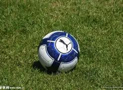 彩界新星,大乐透,号码预测揭,天津体彩,天津体彩网,天津体彩网官网,体育彩票,体彩大乐透,竞彩足球,体彩公益