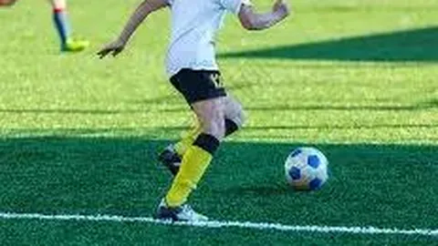 天津体彩网 资讯 101506 jjy