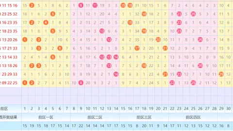 [阳光直击]26017大乐透惊喜揭晓：后区精准杀号揭秘，12号独领风骚！