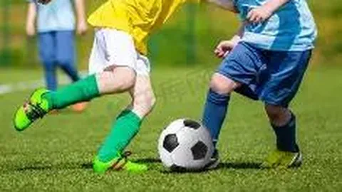 双色球2026023期专家推荐：大乐透定红精选，把握中奖良机