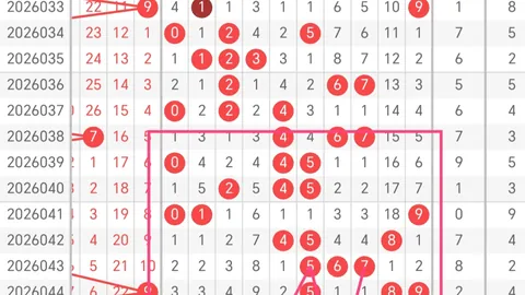 张晓明2026081期福彩3D专家推荐字谜